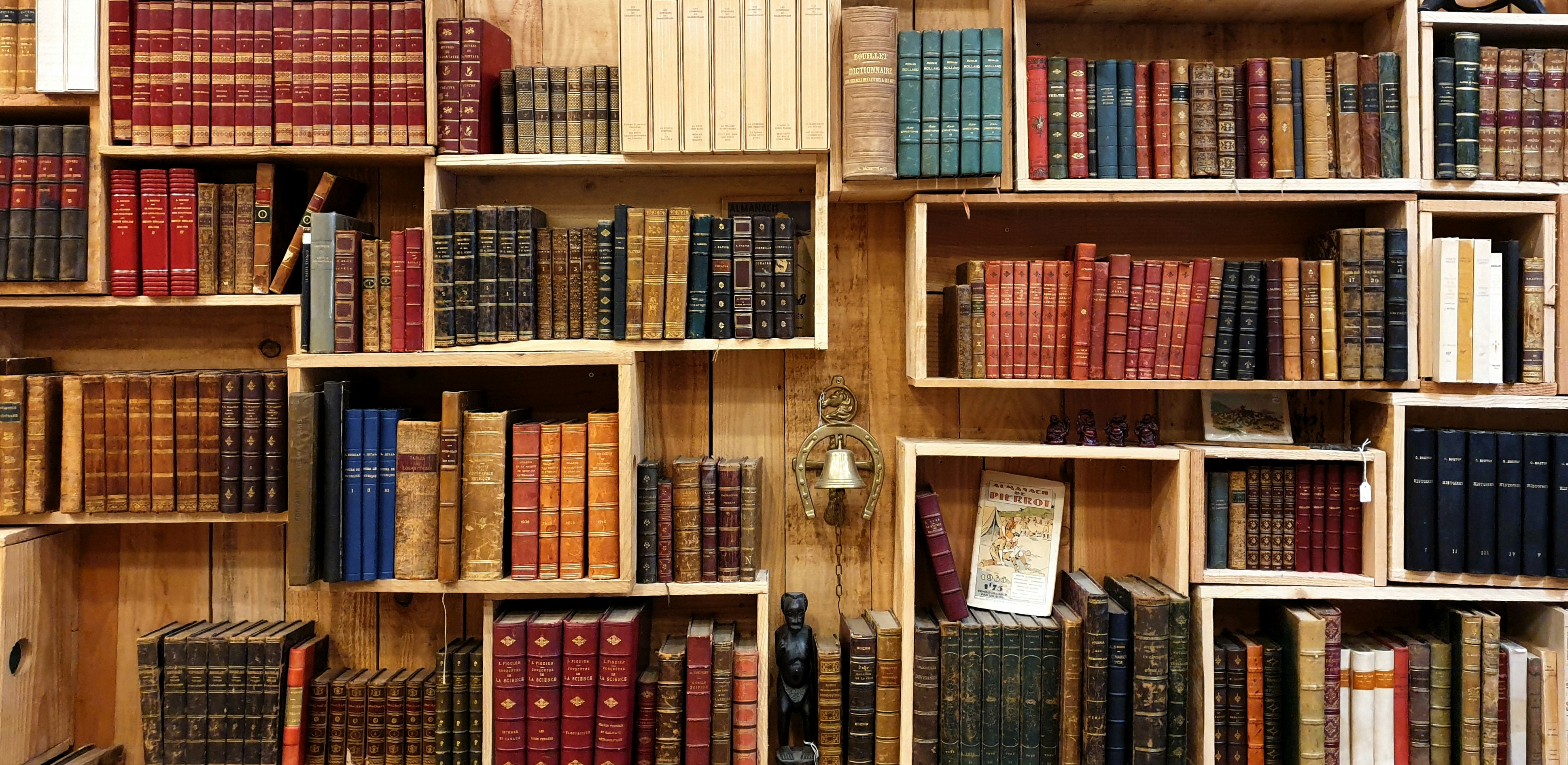Variety of books on bookshelves