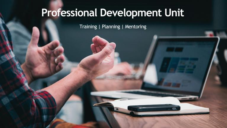 Professional Development Unit - Training Planning Mentoring