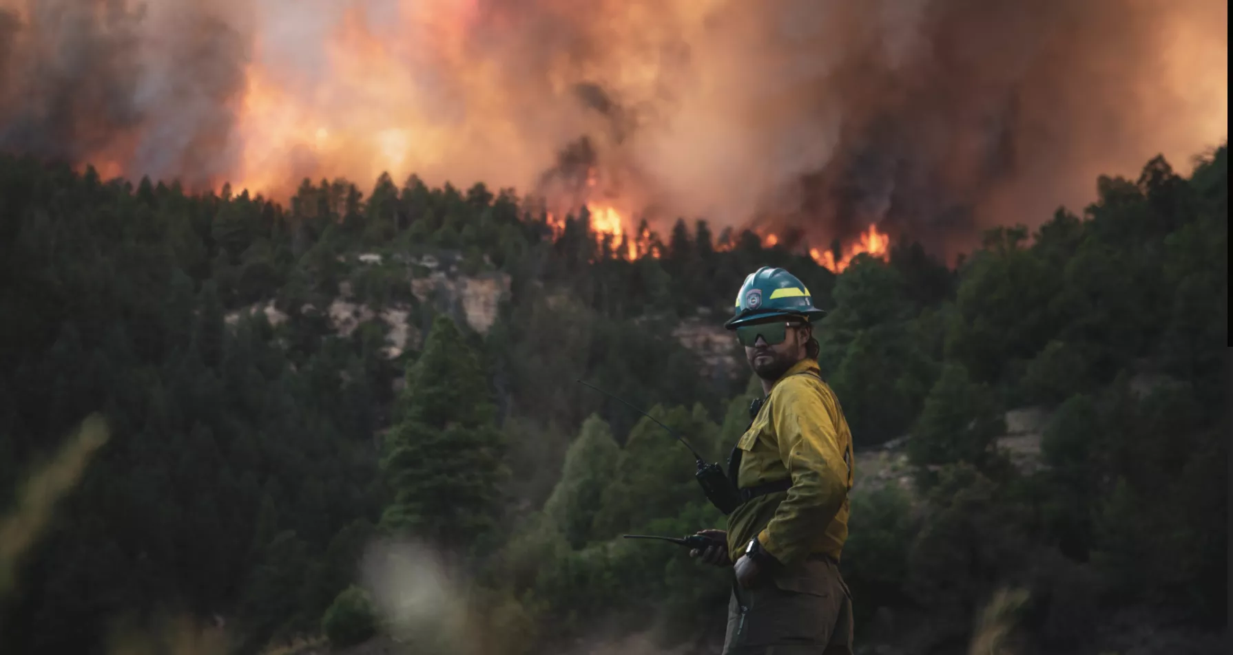 Firefighter standing in front of a forest fire